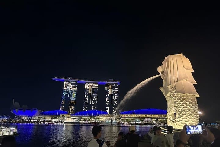 Private Customized Singapore Walking Tour — 3–8 Hour Local-Led City Walk photo 4