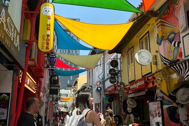 Private Customized Singapore Walking Tour — 3–8 Hour Local-Led City Walk