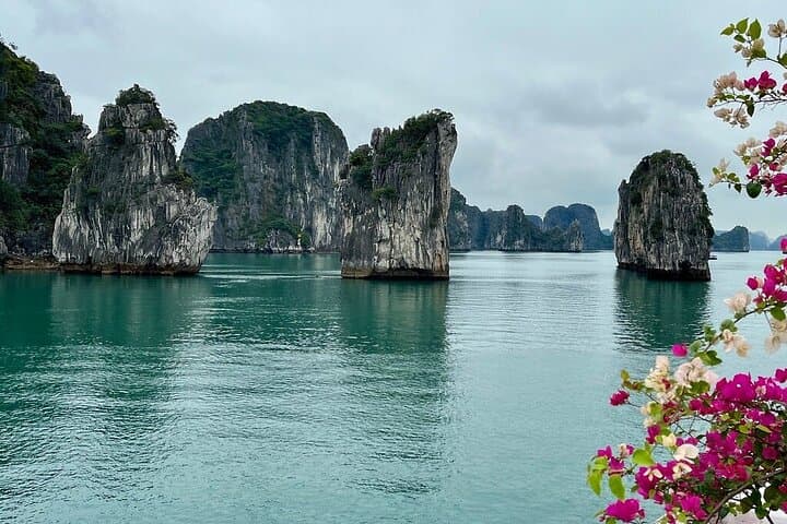 Explore Ninh Binh and Bai Tu Long Bay: 2-Day Tour from Hanoi