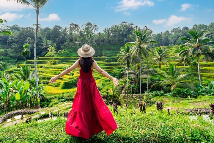 Best of Ubud Private Day Tour — Rice Terraces, Monkey Forest & Holy Springs