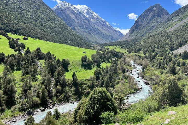 Alamedin Gorge Day Hike from Bishkek — Waterfalls, Meadows & Wildlife