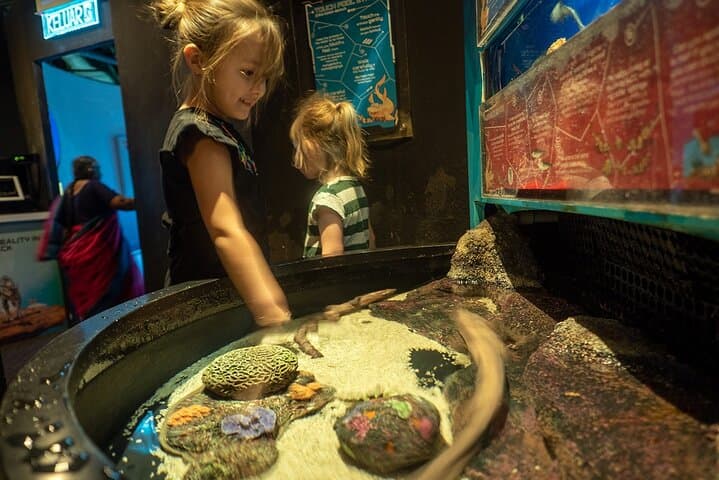 Aquaria KLCC Admission with Return Transfer — Kuala Lumpur Aquarium Experience photo 6
