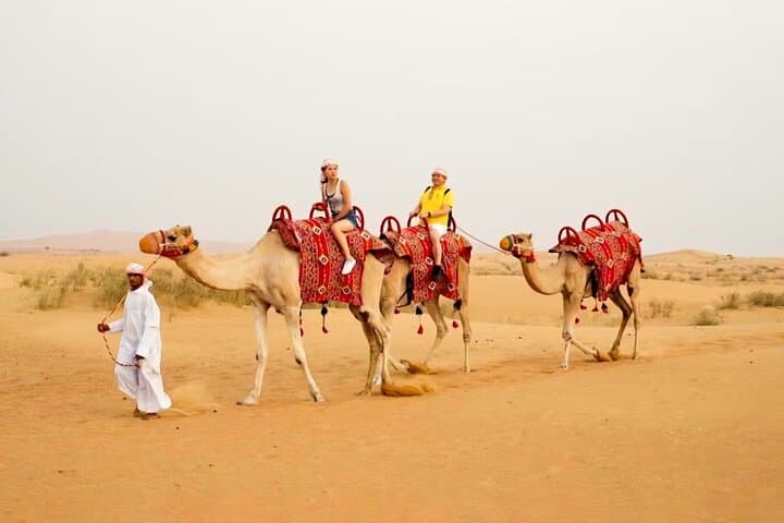 Morning Desert Safari in Dubai – Quad Biking, Camel Ride & Dune Bashing photo 2