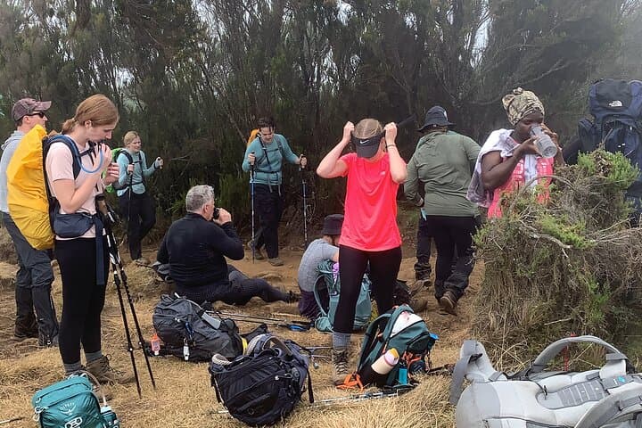 8-Day Lemosho Route Kilimanjaro: Guided Private Trek to Uhuru Peak photo 6