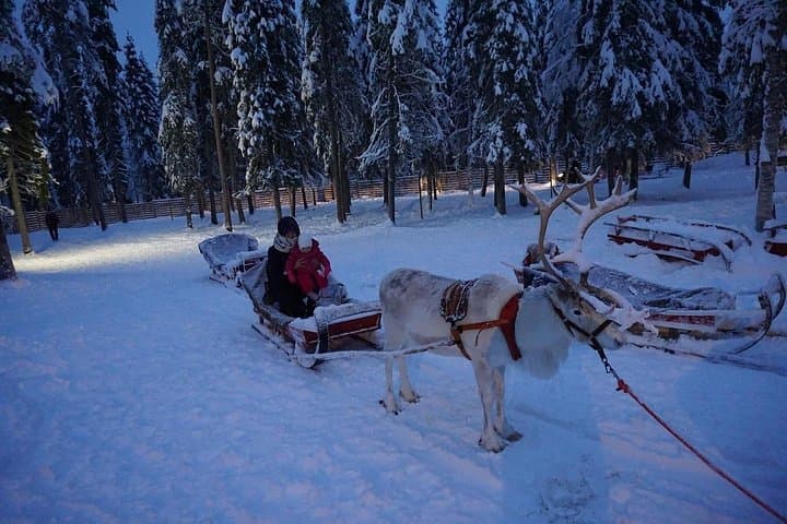 Reindeer Safari & Traditional Lunch at a Lapland Farm — Rovaniemi Winter Experience photo 2