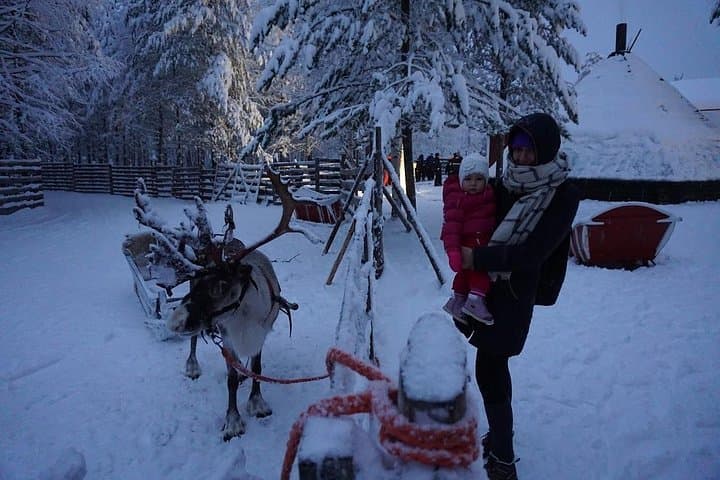 Reindeer Safari & Traditional Lunch at a Lapland Farm — Rovaniemi Winter Experience photo 3