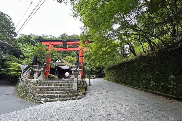 Zero-Emission Private Kyoto Tour: 4-Hour Electric Car Experience with Local Guide photo 2