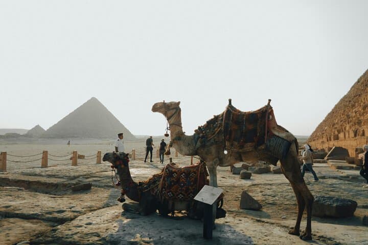 Half-Day Giza Pyramids & Sphinx Tour with Camel Ride — What to Expect photo 5