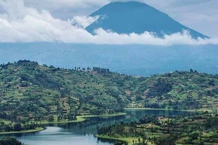 3-Day Gorilla Express: Trek Bwindi to Meet Mountain Gorillas photo 2