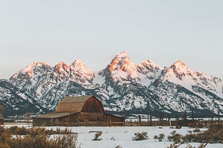 Grand Teton Private Winter Wildlife Tour from Jackson: Bison, Wolves & Scenic Stops photo 6