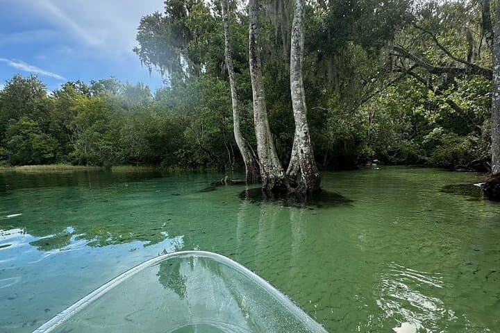 Clear Kayak & Paddleboard Rentals on Rainbow River — Private Guided Trips from Dunnellon photo 4