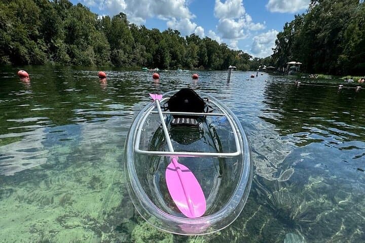 Clear Kayak & Paddleboard Rentals on Rainbow River — Private Guided Trips from Dunnellon photo 5