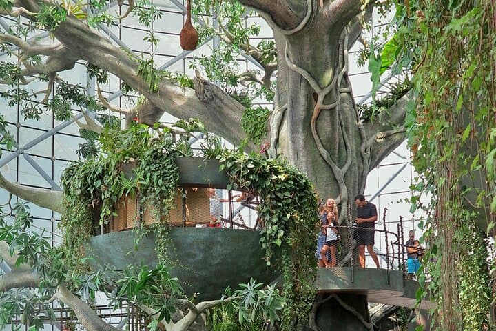 Inside The Green Planet Dubai: Skip-the-Line Indoor Rainforest Experience photo 5