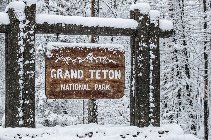 Grand Teton Private Winter Wildlife Tour from Jackson: Bison, Wolves & Scenic Stops
