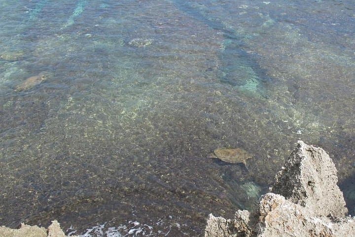 Little Liuqiu Coral Island One-Day Tour from Kaohsiung photo 3