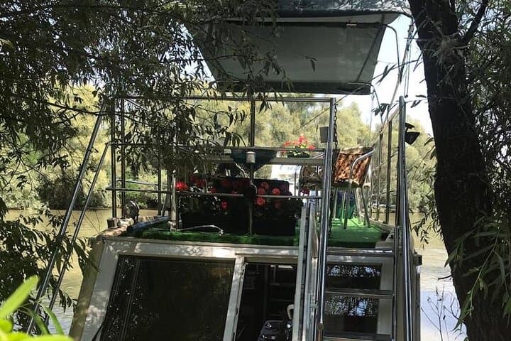 Danube Delta Day Cruise from Tulcea: Slow Boat to Marshes & Birdlife photo 3