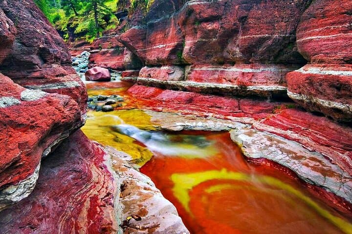 Winter Waterton Day Tour from Calgary: Bison, Cameron Falls, Bear's Hump & Red Rock photo 6