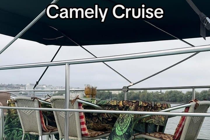 Slow Cruise Through the Danube Delta from Tulcea — 4-Hour Wildlife & Wetlands Tour photo 2
