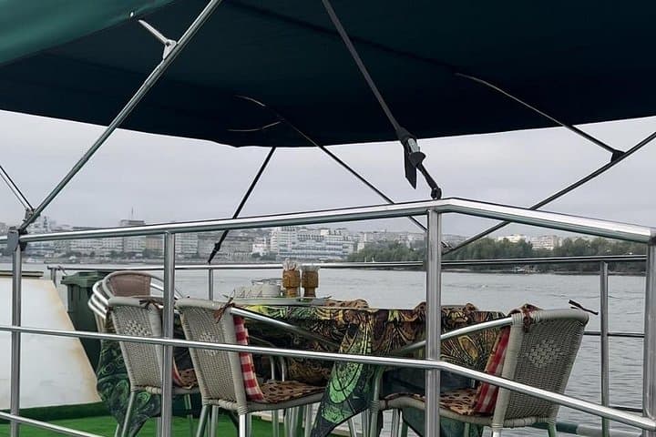 Slow Cruise Through the Danube Delta from Tulcea — 4-Hour Wildlife & Wetlands Tour photo 3