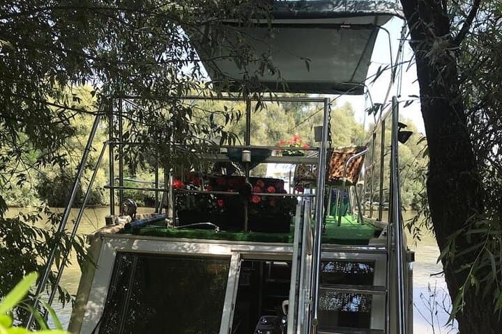 Camely Boat Danube Delta Cruise from Tulcea — 4-Hour Delta Tour photo 5