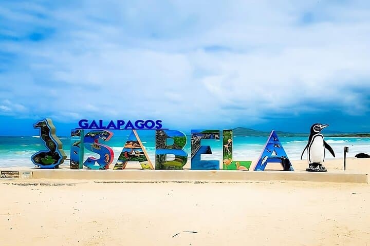 Full-Day Isabela Island and Tintoreras Snorkel: Tortoises, Penguins & White-Tip Sharks photo 1