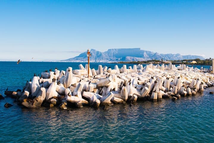 Robben Island Tour from Cape Town: Guided Mandela Prison Visit & Ferry
