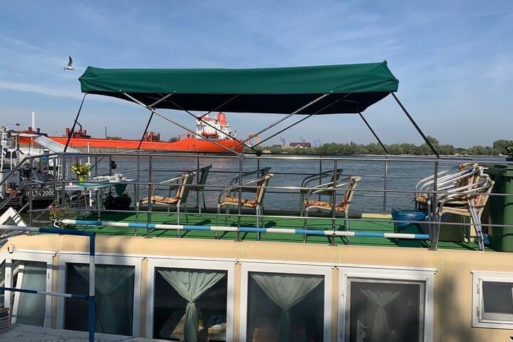 Slow-Boat Danube Delta Cruise from Tulcea — 4-Hour Wildlife & Canal Excursion photo 3