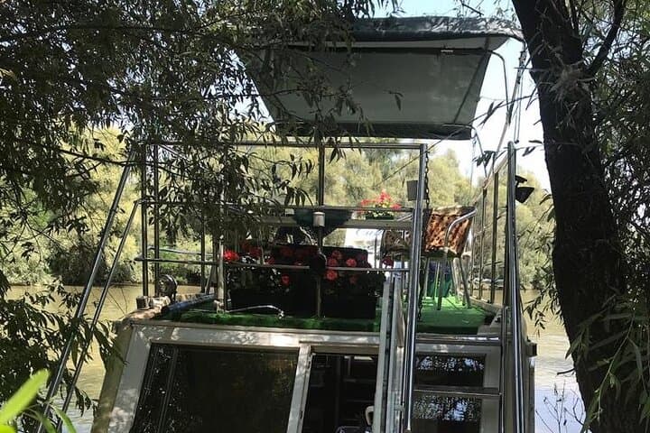 Slow-Boat Danube Delta Cruise from Tulcea — 4-Hour Wildlife & Canal Excursion photo 4