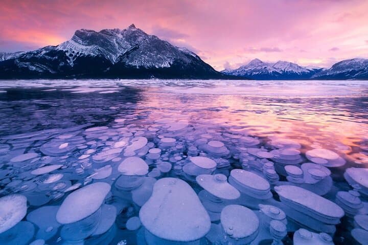 Abraham Lake Ice Bubbles, Peyto & Bow Lake Winter Tour from Banff photo 5
