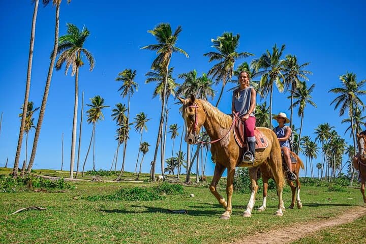 Horseback and 4x4 Beach Adventure in Miches — El Limón Day Trip