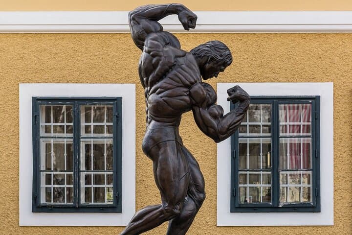 Private Day Tour: Graz & Arnold Schwarzenegger Museum from Vienna