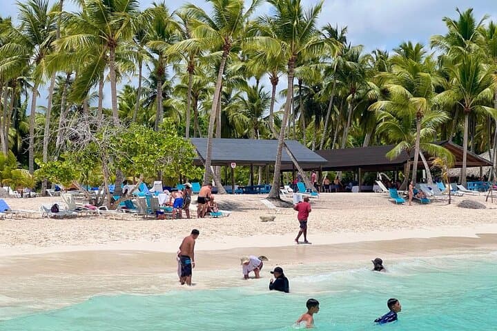 Saona Island Day Trip from Santo Domingo: Catamaran, Natural Pool & Pristine Beaches photo 5