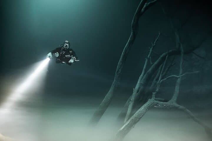 Playa del Carmen Cenote Diving — Private Guided Cenote Scuba Tours photo 4