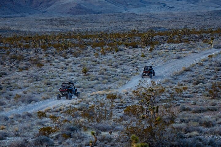 Starlight RZR Run: Mojave Off-Road Sunset Tour from Las Vegas photo 2
