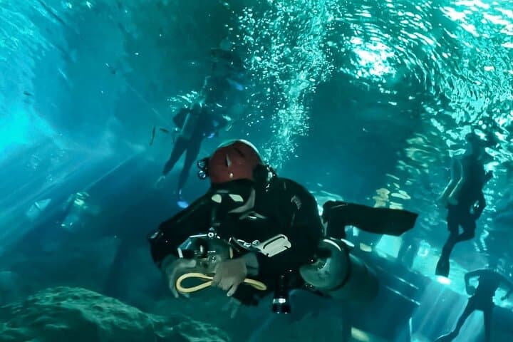 Cavern Scuba at Dos Ojos Cenote — Two-Dive Adventure from Playa del Carmen photo 5