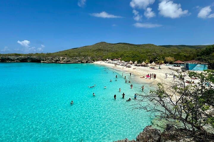 Private SUV Tour to Swim with Turtles at Playa Piskado, Curaçao (4–5 Hours) photo 3