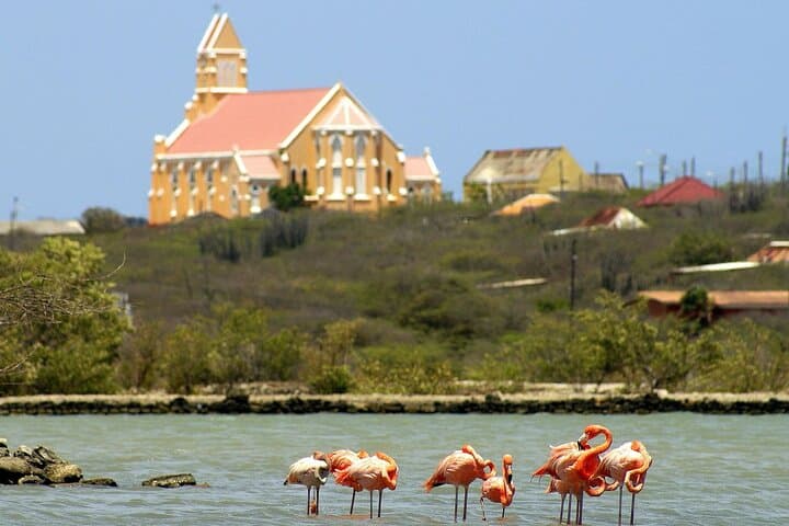 Private SUV Tour to Swim with Turtles at Playa Piskado, Curaçao (4–5 Hours) photo 4