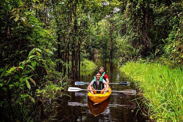 Amazon Eco Treehouse Stay: 4-Day Leticia Jungle Immersion