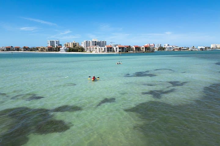 Clear Kayaking Tour in Clearwater Beach: See Dolphins & Manatees from a Transparent Kayak