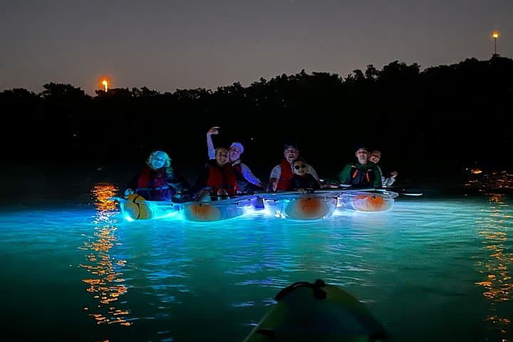 Clear Kayaking Tour in Clearwater Beach: See Dolphins & Manatees from a Transparent Kayak photo 5