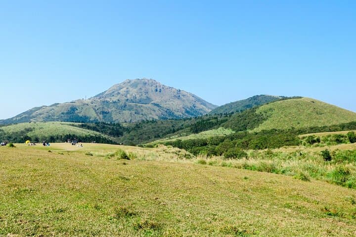 Yangmingshan Half-Day Tour: Xiaoyoukeng, Bamboo Lake & Flower Trails
