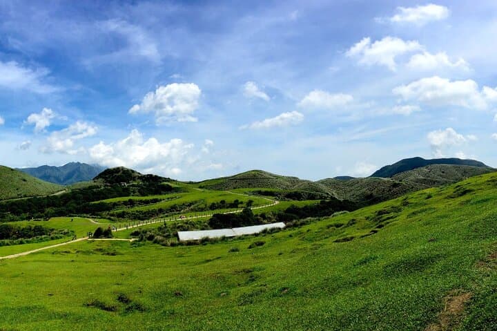 Yangmingshan Half-Day Tour: Xiaoyoukeng, Bamboo Lake & Flower Trails photo 2