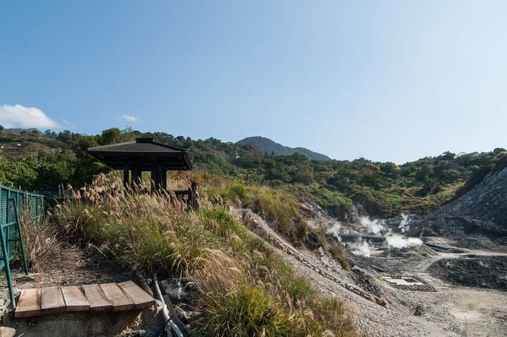 Yangmingshan Half-Day Tour: Xiaoyoukeng, Bamboo Lake & Flower Trails photo 3