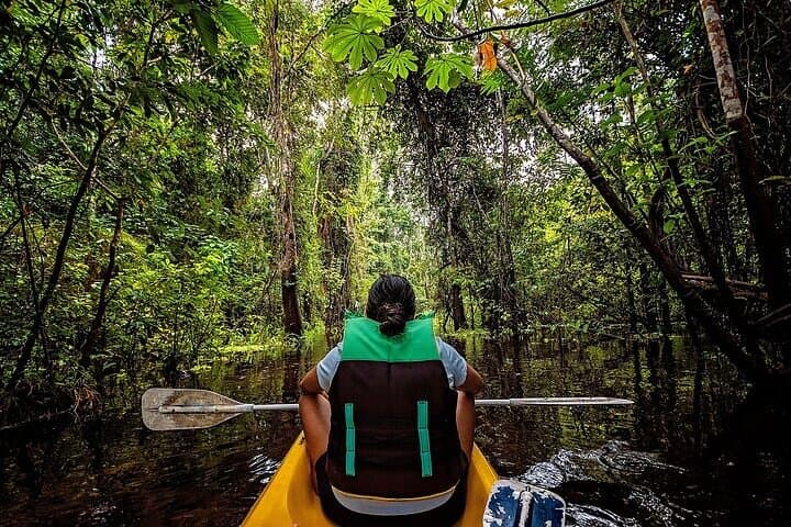 Private 4-Day Amazon Expedition: Leticia, Puerto Nariño & Marasha Reserve photo 2