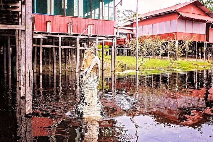 Private 4-Day Amazon Expedition: Leticia, Puerto Nariño & Marasha Reserve photo 3