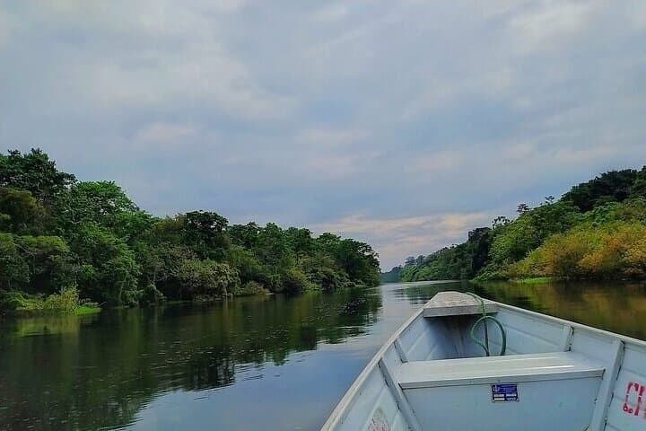 Private 4-Day Amazon Expedition: Leticia, Puerto Nariño & Marasha Reserve photo 5