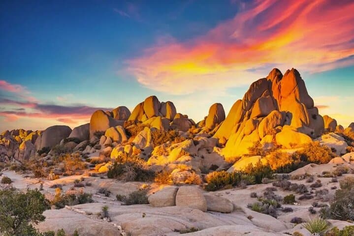 Joshua Tree Day Trip from San Diego: Private 10‑Hour National Park Tour photo 2