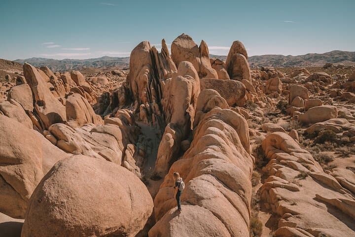 Joshua Tree Day Trip from San Diego: Private 10‑Hour National Park Tour photo 4