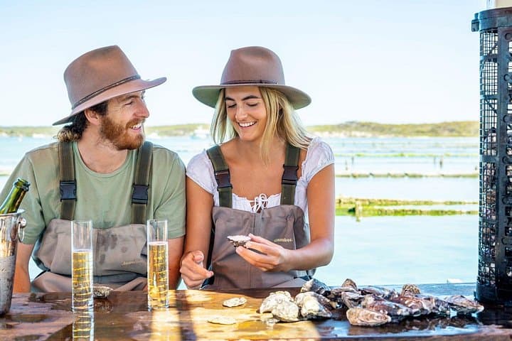 Port Lincoln and Coffin Bay Day Tour: Oysters, Koalas & Coastal Sights