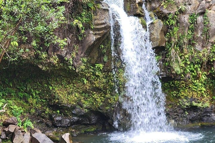Bus Tour in Hāna, Hawaii